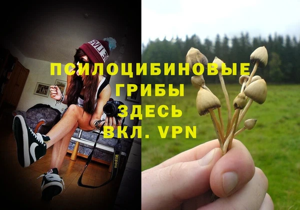 марки nbome Алексин